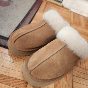 Authentic Ugg Disquette slippers